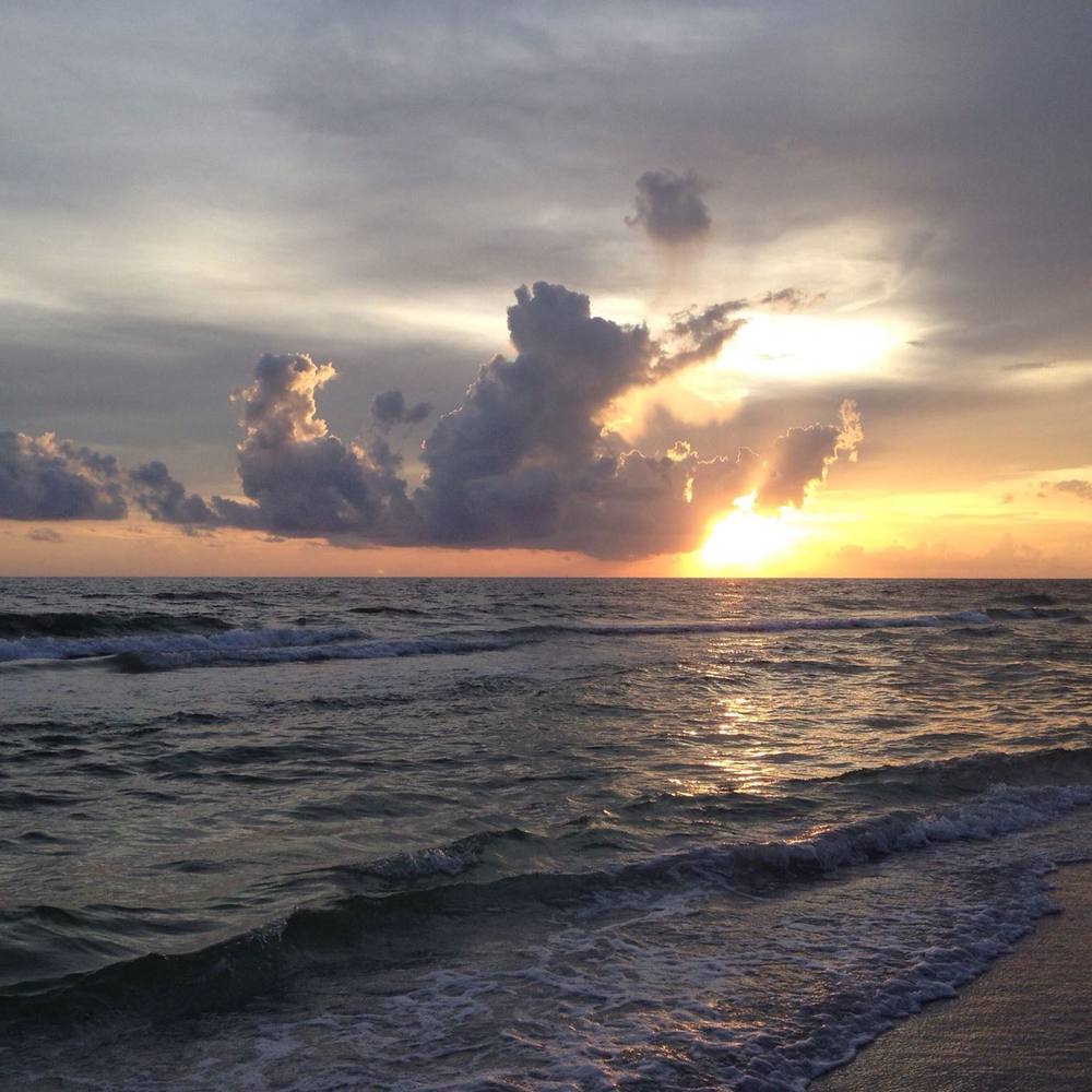 Meet your Posher, Angie